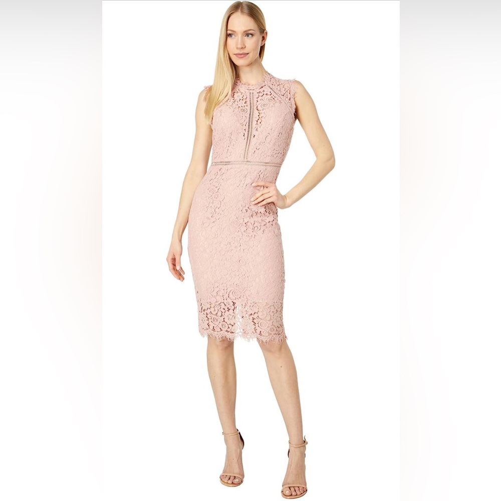 Bardot Lace Sheath Dress Pastel Pink Blush Exposed Zipper
